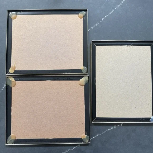 Vintage Chinese Watercolor Painting Framed Set of 3 Birds Flowers Signed - Picture 5 of 14